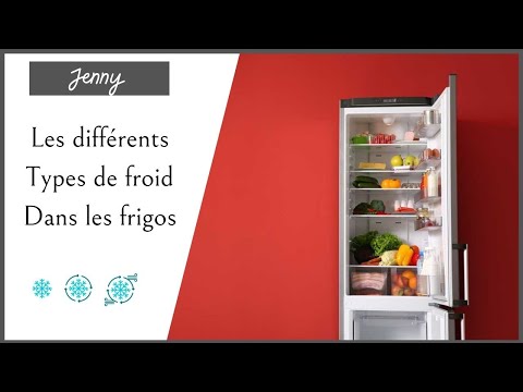 Vidéo: Avantages Et Inconvénients Des Réfrigérateurs Posis