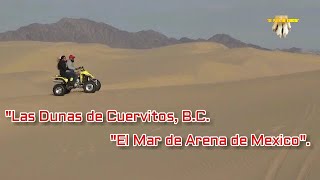 Las Dunas de Cuervitos, el Mar de Arena de Mexico