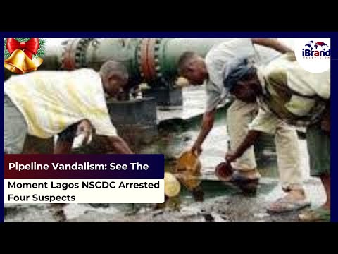 Pipeline Vandalism: See The Moment Lagos NSCDC Arrested Four Suspects