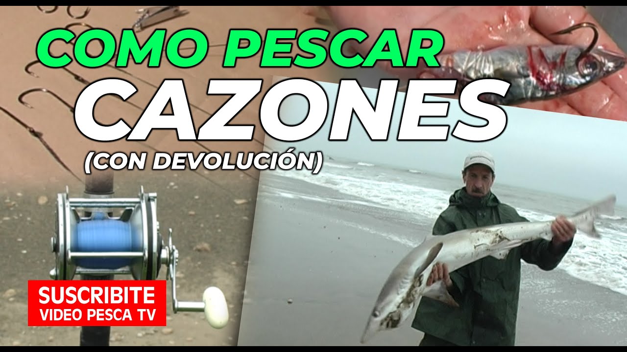 Como Pescar Cazones (Líneas, Carnadas, Equipos, Lugares) Volvé a Verte #8