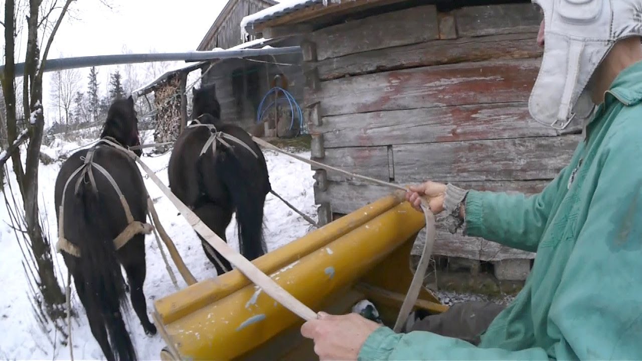 Po obejściu KONIE CIĄGNĄ SANIE