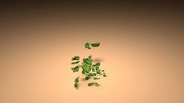 Breaking Suzanne (HQ) - Blender 2.61 Physics Simulation and Fracture Script Test (Cycles HD Render)