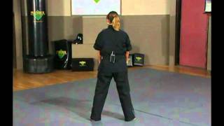 Karate | Black Belt Training | Premier Forms | Power Form Combo 3