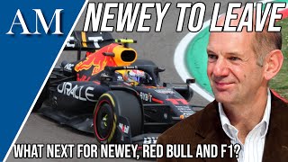 NEWEY, LEWIS, AND THE NEWS! Opinions on Newey's CONFIRMED 2025 Red Bull Departure