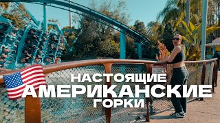 АМЕРИКАНСКИЕ ГОРКИ В США || SEAWORLD