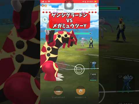 【ポケモンGO】ゲンシグラードン VS メガミュウツーY！【GBL】#shorts #ポケモンgo #gbl #ポケモン #マスターリーグ