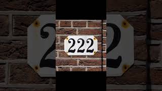 Seeing 222 everywhere?! Here's why... | Angel Number 222 | #trending #shorts #222 #spirit