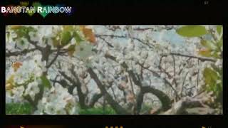 Lee Hyun - You are here (Myanmar subtitle)(BTS world game ost)