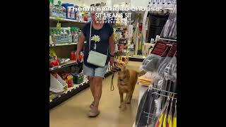 If You Don't Like This Behavior... It's Time For Training