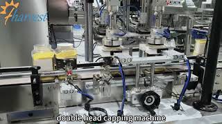 Fully automatic double-head capping machine for grain containers, with cap lifting machine