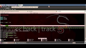 Remote Stack Buffer Overflow