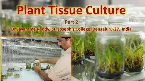 Plant Tissue Culture Part 2 by Dr  Jayarama Reddy