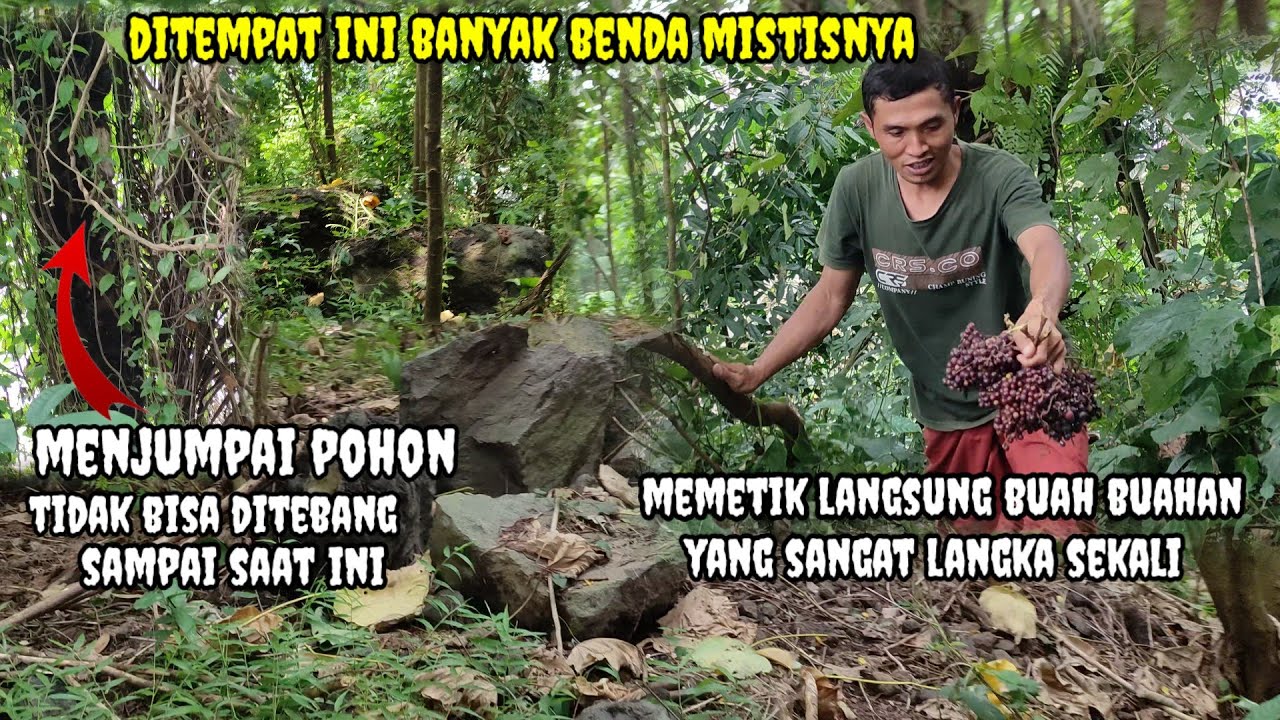 PENELUSURAN HARI KEDUA KEGUMUK BOTO,KAMERA AMAN HASILNYA BAGUS