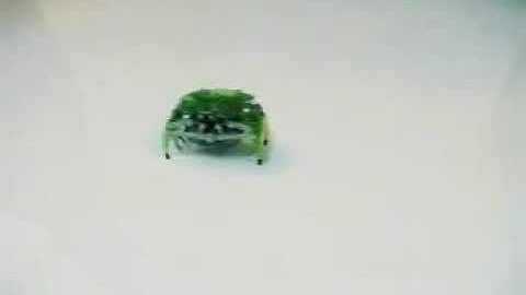 Hexbug Crab Promotional