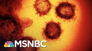 Redlener: Those Downplaying Coronavirus Are Disconnected From Reality | The 11th Hour | MSNBC