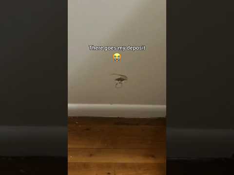 April Fools Prank Backfired HARD 😂 #PrankGoneWrong #Fails