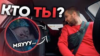 Пот и Кёс! Понедельник Желтых Заказов в Такси