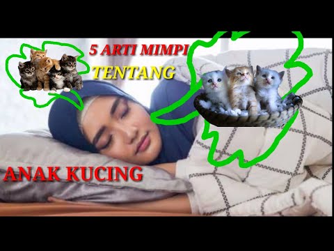 Video: Tafsiran Mimpi: Mengapa Anak Kucing Bermimpi