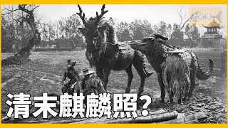 麒麟存在嗎清朝末年驚現麒麟照拍到的是什麼鬼|Kirin Exists, CC, 高清