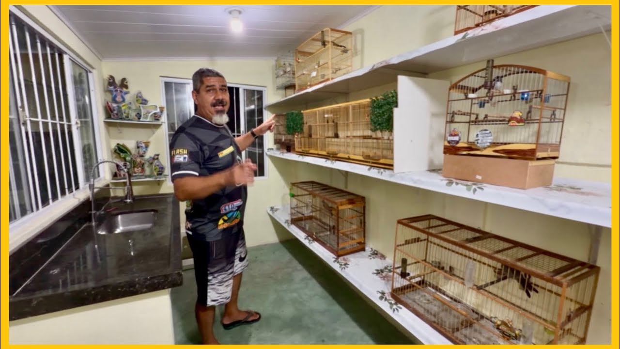 Que Evolução! Do Tratatório ao Criatório de Coleiro Papa-Capim 🐦🔥