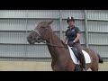 Fiber Fresh Feeds Equine TV: EP 31 - Avoiding your horse pulling the reins out of your hands