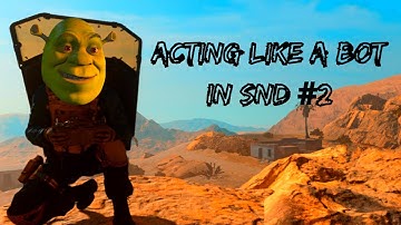 Acting Like A Bot In Search And Destroy #2 (Call Of Duty Modern Warfare)