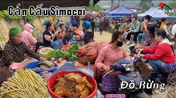 CHỢ PHIÊN CÁN CẤU BÁN TOÀN ĐẶC SẢN RỪNG QUÝ HIẾM, ẨM THỰC, LỢN BẢN, CHÓ HMONG |  Highland Market