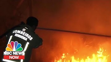 Climate Scientist: Amazon Fires ‘Destroying Unique, Irreplaceable Ecosystems