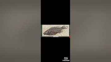 Class 6- Geography- 7. Rocks and Rocks Types Part 2