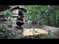 Fish farming in the middle of the jungle  2 years of survival in the rainforest  episode 42