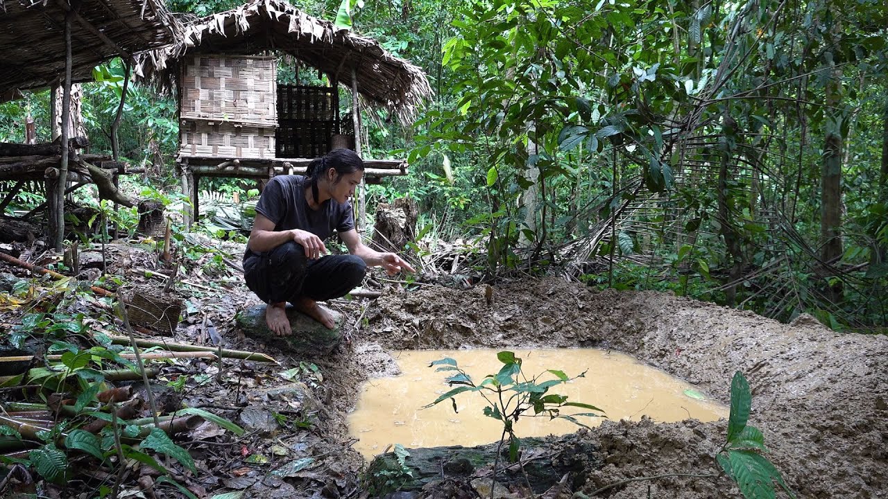 Fish farming in the middle of the jungle - 2 years of survival in the rainforest - episode 42