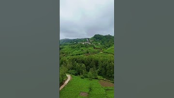 رواية خلف عن حمزة القارئ  عبد العزيز شوكري