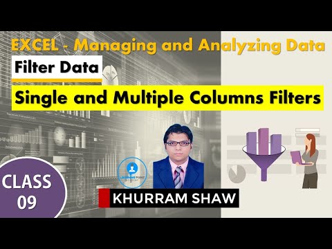 Excel - Filter Data - Single and Multiple Columns Filters