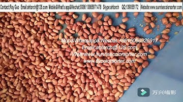 Groundnut kernel color sorter,peanut color sorter