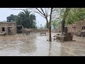 Rain In Punjab | Village Life | Rainy Season In Pakistan