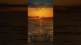 sunset view | beautiful sunset views | natural beauty | nature videos sunset view | beautiful sunset views | natural beauty | nature videos