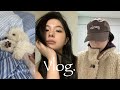 vlog. 어떤 일상을 보냈는지 감도 안오는 12월 브이로그