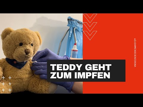 Teddy geht zum Impfen