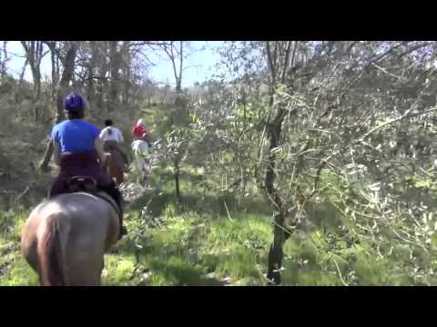 Equitours Discover Tuscany Riding Vaions In Ita Southern Europe-11-08-2015