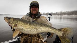 Pre-Spawn Walleyes & Sturgeon on the Rainy River (SJR500 Derby)