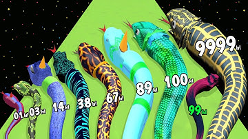 Snake Evolution Snake Evolve - Level Up Snake Max Level Gameplay