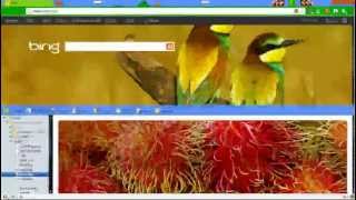 How to Save Bing Wallpapers and Backgrounds screenshot 3