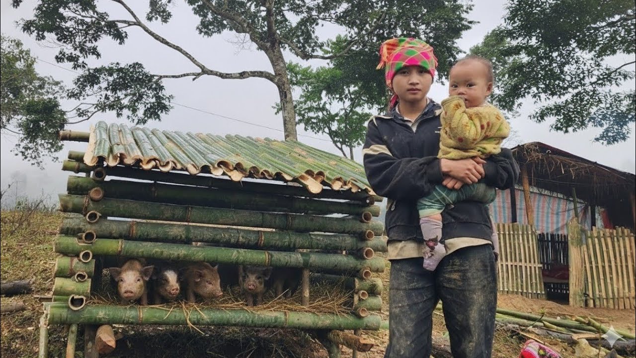 The mother and daughter used bamboo to make a platform to set up a makeshift pig shed.