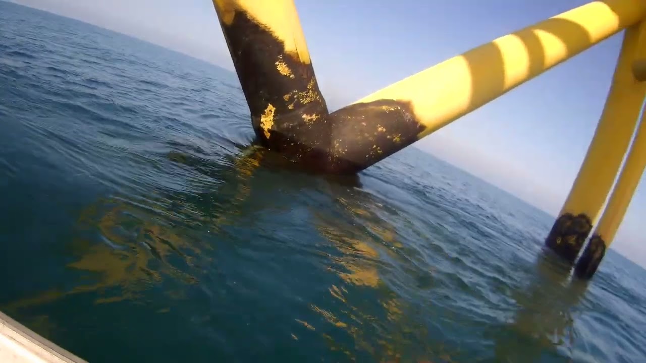 2026 0215 095305 022  重新頂流黃機2