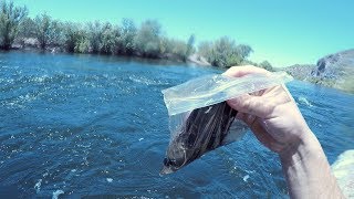 I Found a FULL Plastic Baggie Underwater in the River! (Returned to Owner - Amazing Reaction!) I Found a FULL Plastic Baggie Underwater in the River! (Returned to Owner - Amazing Reaction!)