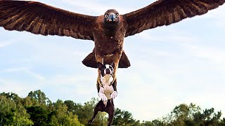 La escena del ataque del águila | Hijos De Perra | Clip en Español