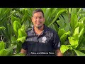 FEMA How to Apply for Disaster Assistance PSA Hawaii Wildfires