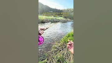 Creek fishing for tiny trout 🐟🎏