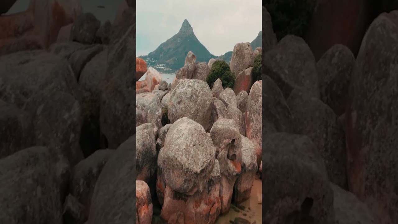 МУДРЫЕ ЦИТАТЫ. 