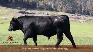 Lot 10 New River Slingshot W104
